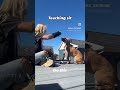 How to teach your puppy to sit!