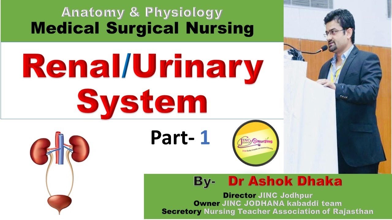 Renal /Urinary System Part-1 (NORCET-2020)