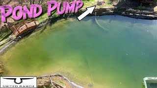 What YOU need to know about Pond Pumps!...My Tips and Suggestions (DIY Natural Swimming Pond Vid#7)