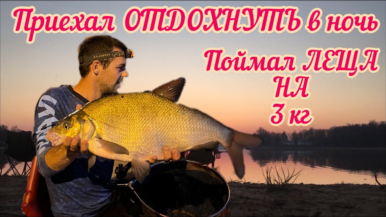 ЛЕЩ на 3 кг! Рыбалка в удовольствие в Братеево на Москва-реке - YouTube