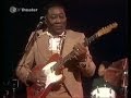 Muddy Waters  - The Howling Wolf