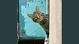 Melodic Harmony for Cats