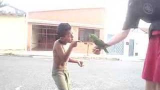 Vídeo Legal - Limeira - Sp
