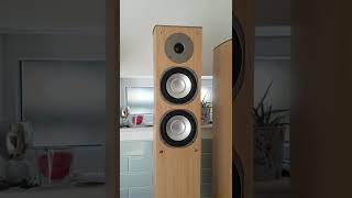 Tangent Speakers Gonna Get Customed