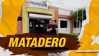 MATADERO de Vacas y Toros