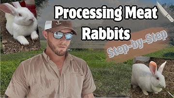 How to Process Meat Rabbits | Step-by-Step Butchering Guide for Homesteaders