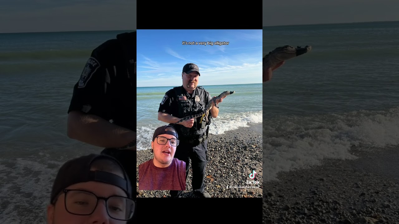 What do y’all think about this? 