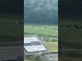 牛さんがおいしそうな件！