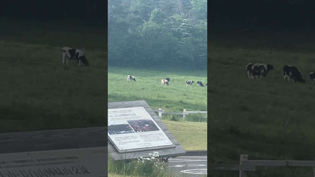 牛さんがおいしそうな件！