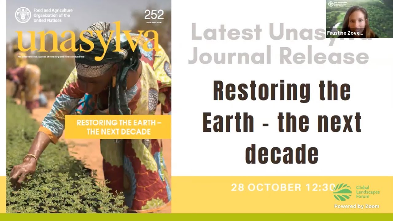 “Restoring the Earth: the next decade” – latest Unasylva journal edition release