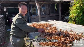 二茬的秋榛蘑已經出來啦，我都采滿筐了，有想來采蘑菇的嗎？