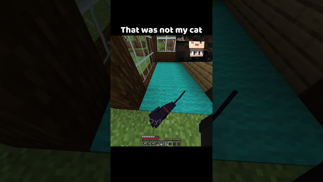 #subscriber