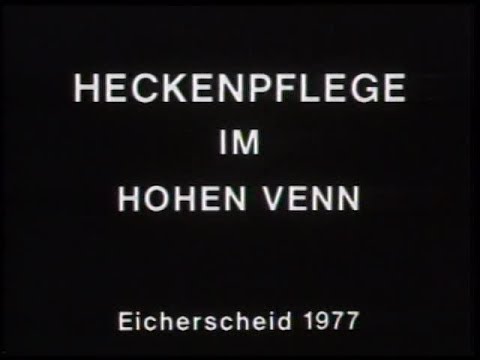 Venn Diagramme, Beispiel, Schnitt von Ereignissen, Mengen veranschaulicht | Mathe by Daniel Jung