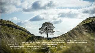 The Best Britpop of All Time Volume 1