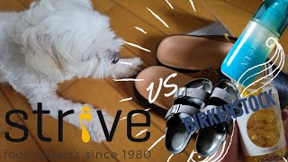 【 Strive footwear VS. Birkenstock 】15,950円 VS. 5,500円のコンフォートサンダル履き比べ！最近のお出かけ前の紫外線ケアも。