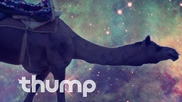 Peter Cat Recording Company - "Love Demons" (Official Video)