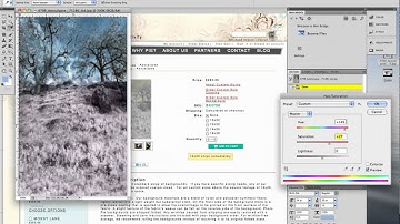 Making Custom Changes to Backdrop Images, A Photo Pie Video
