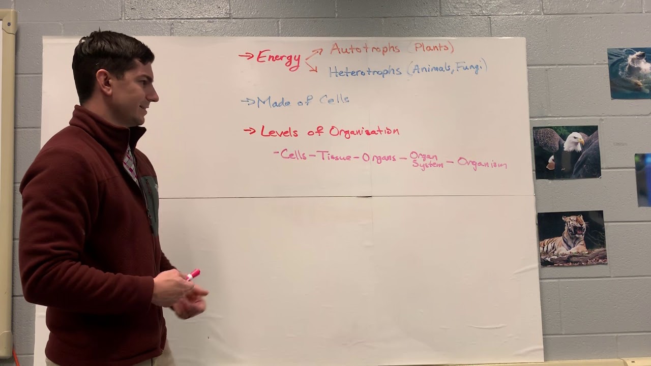 Keystone Biology Review 1 - YouTube