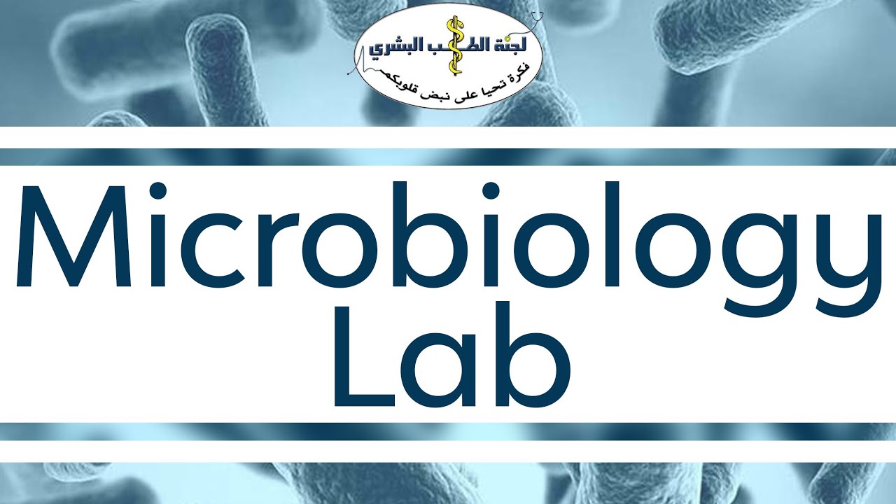 Micro Lab 1- Core batch ~ By: Hassan Abu Hassan - YouTube