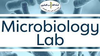 Micro Lab 1- Core batch ~ By: Hassan Abu Hassan