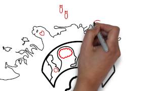 Master Begeleid Levenslooppsychologie Openingsevent