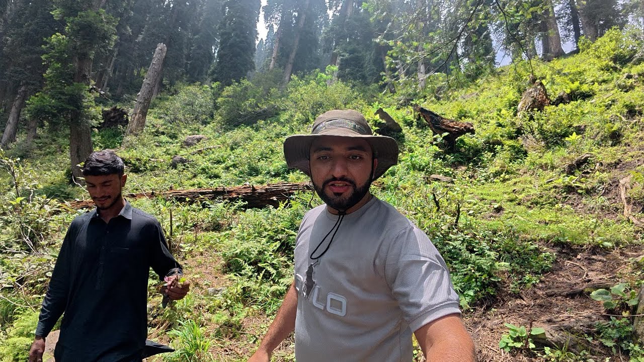 Exploring Kashmir’s Green Paradise | Cows, Buffaloes & Forest Life