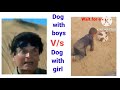 Girl vs boys  with dog   bagarty babu creation  viral meme   comedy dance 