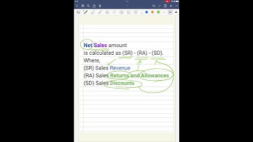 Calculation of Net Sales 101