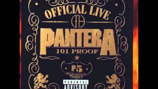 Pantera - This Love