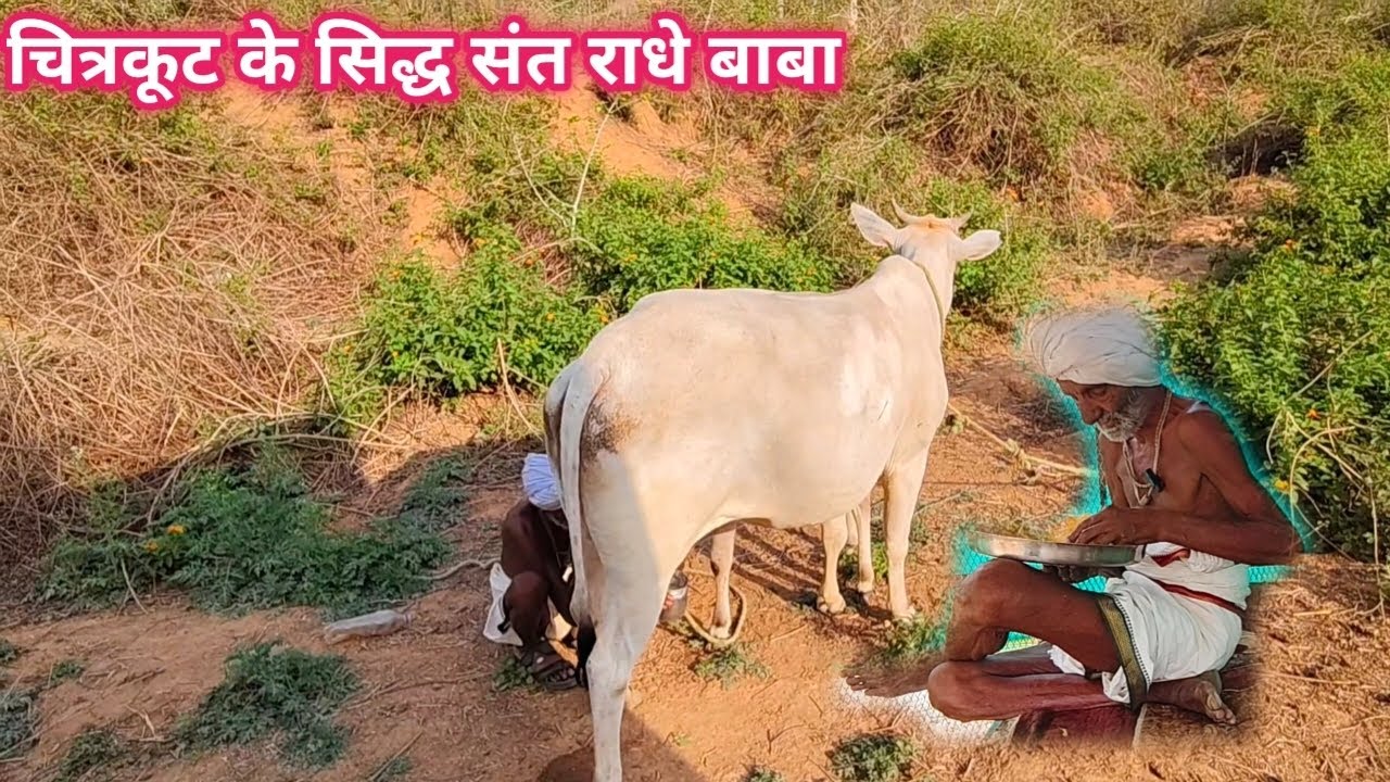 चित्रकूट के सिद्ध संत राधे बाबा 80 साल के होने के बाद भी गौ सेवा करते हैं भजन साधना तपस्या करते हैं