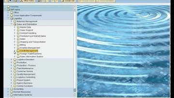 Exxap Credit Limit Demo SAP and Salesforce integration Solutions