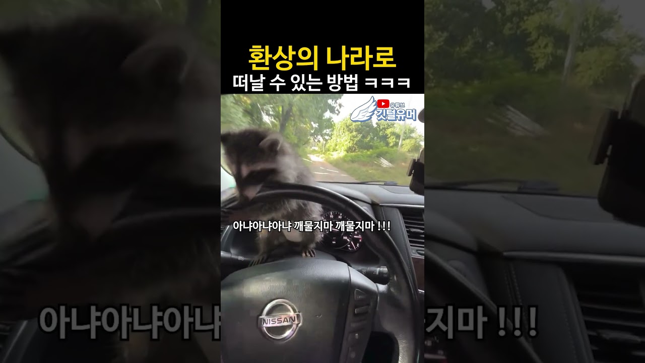 육아 난이도 초 극상의 동물 ㅋㅋㅋㅋㅋㅋ