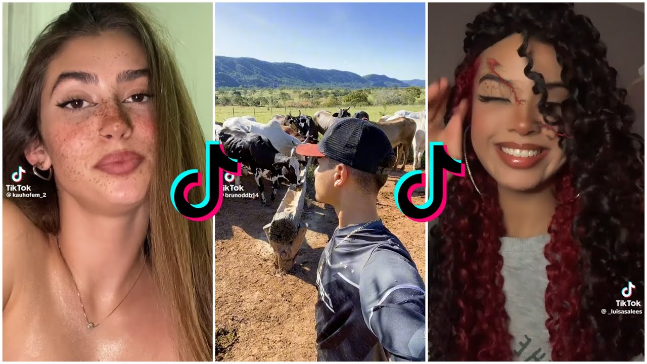🍪VÍDEO DE BISCOITO DO TIK TOK+ BISCOITE SE SOUBER - YouTube