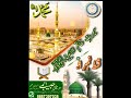 سیرت خاتم الانبیاء ﷺ قسط ۹ Seerat Khatimul Ambiya S A Part 9 By Mufti Habib Ahmed Muneeri DB 
