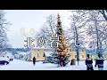 【 北欧暮らし 】 雪の街歩き🎄 / 風邪っぴきの独立記念日とご馳走🇫🇮 / スーパーでお買い物