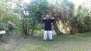 Dayan Wild Goose Qigong Basic Kidney Strengthening form performed by Shane Lear Resimi