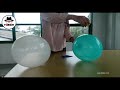 Memecahkan Balon Menggunakan Air Jeruk