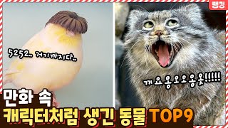 새 주제에.. 멋있어..! 만화 속 캐릭터처럼 생긴 유쾌한 동물들 TOP9