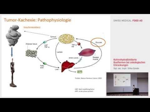 Video: Ursachen Des Metabolischen Syndroms Und Der Mit Adipositas Verbundenen Komorbiditäten Teil 1: Eine Zusammengesetzte Einheitliche Theoretische Übersicht über Menschenspezifische Co