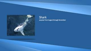 Best fishing charters in Port Aransas