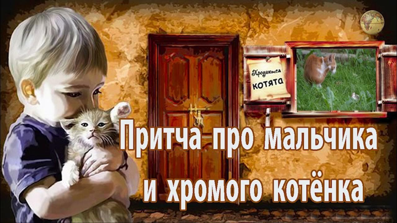 Хромой кот. Притча котенок. притча «хромой котёнок». мальчик и хромой котенок. картинки к притче хромой котенок.