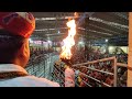 Butati dham live aarti 14052024     