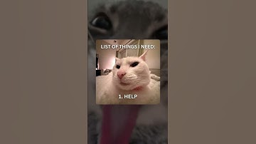 Day 2 posting memes until I hit 1M subs