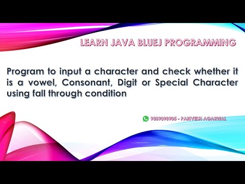 JAVA Program Checking Vowel Consonant Digit Or Special Character using BlueJ Environment