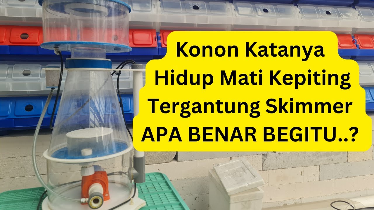 Apa Itu Protein Skimmer Perlukah Budidaya Vertical Crab Budidaya apa-itu-protein-skimmer-perlukah-budidaya-vertical-crab-budidaya