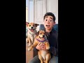 #A pet, but also a family member #Cute dog