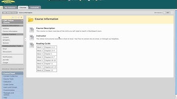 BbLearn: Build Content - Item