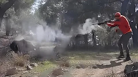 TOP 10 WILD BOAR HUNTING || Best Scenes ||SEASON: 2024 - PART 8