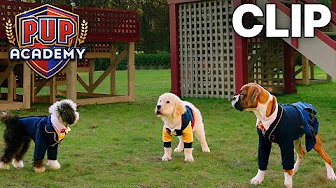 Spark's Problem with Leashes | Pup Academy Clip