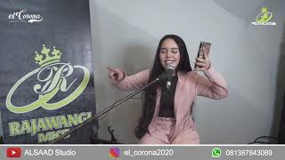Anita Pawez - Hala Brihat Hali هلا بريحة هلي #liveaudio El Corona Gambus Part 45